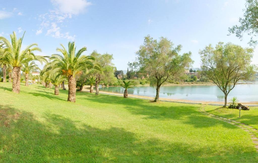 Palm Tree Corfu Apt. Danilia المظهر الخارجي الصورة