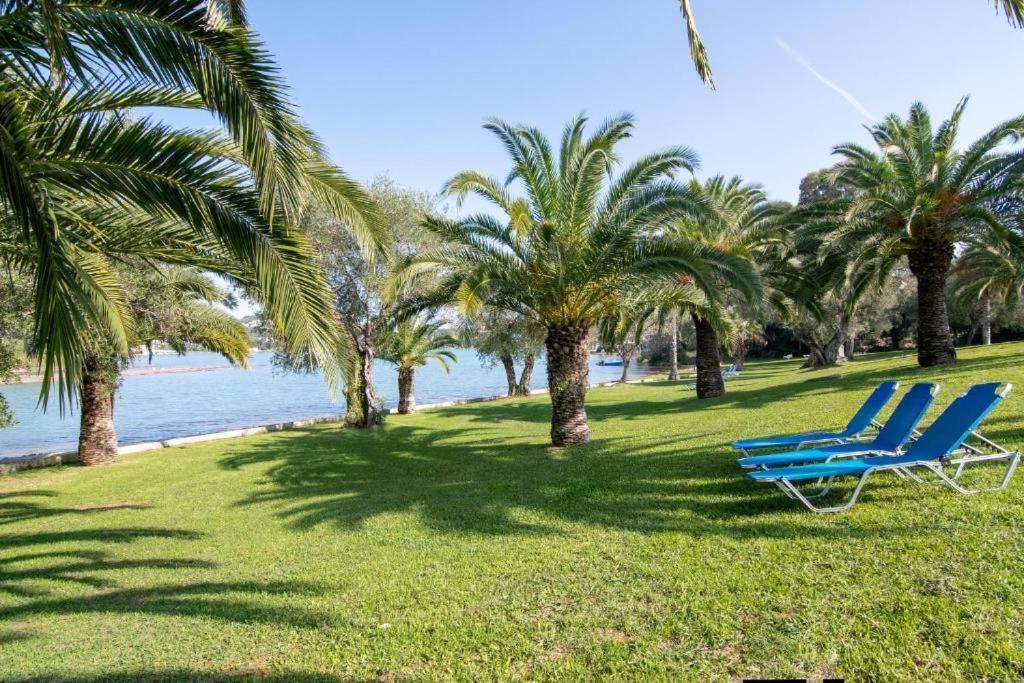 Palm Tree Corfu Apt. Danilia المظهر الخارجي الصورة